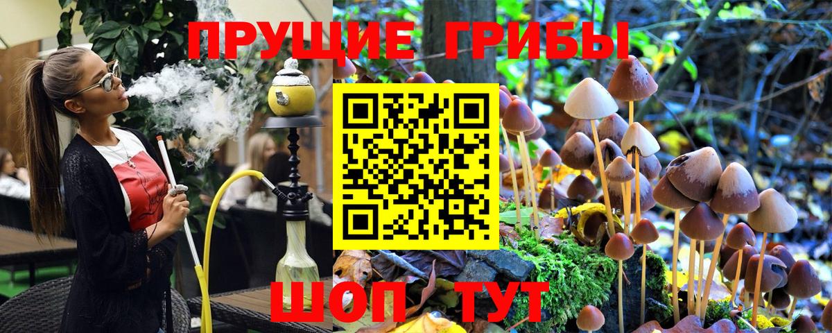Галлюциногенные грибы Cubensis Железноводск