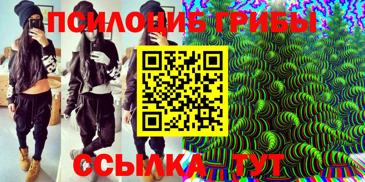Галлюциногенные грибы Psilocybe  где можно купить наркотик  Железноводск  Вход с VPN  Псилоцибиновые грибы мухоморы 